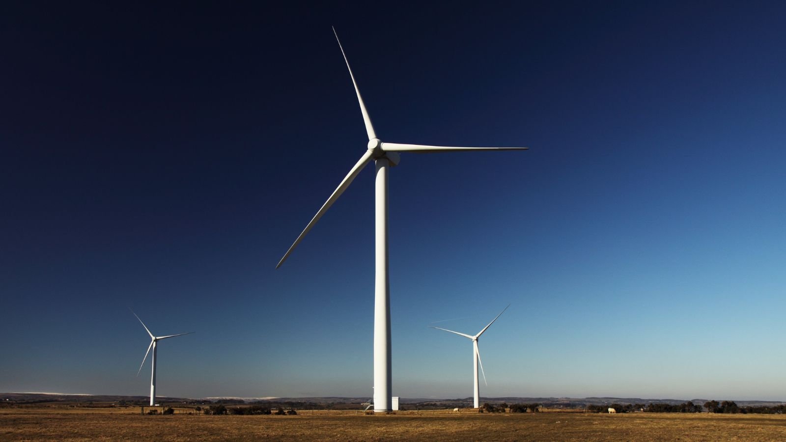 wind mills